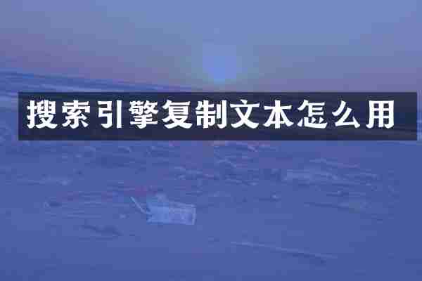 搜索引擎复制文本怎么用