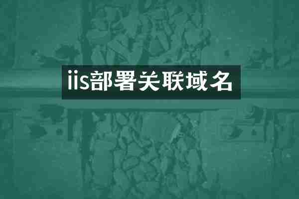 iis部署关联域名