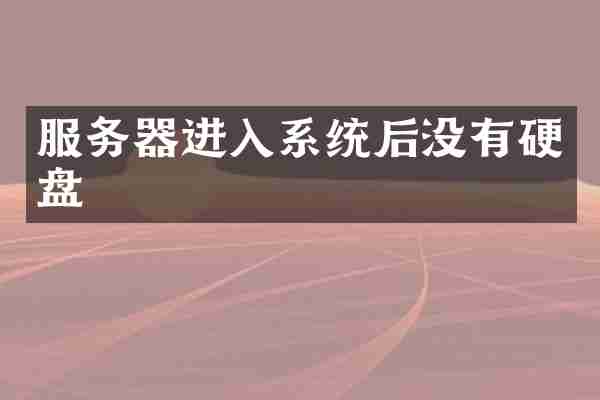 服务器进入系统后没有硬盘