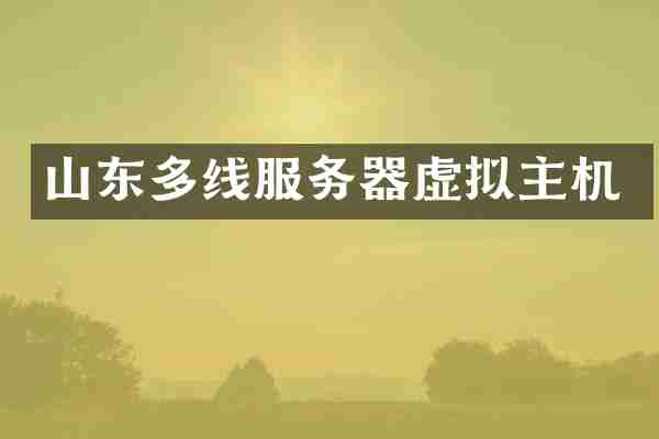 山东多线服务器虚拟主机