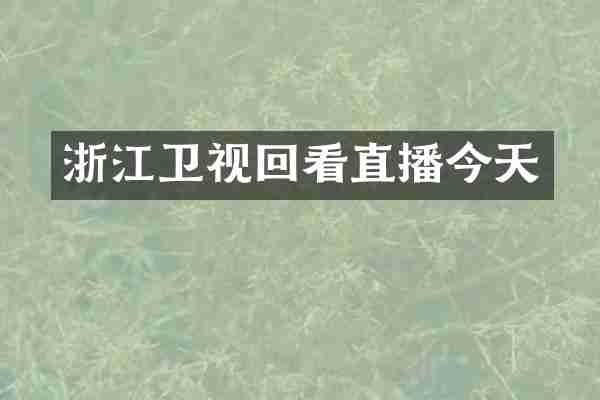 浙江卫视回看直播今天