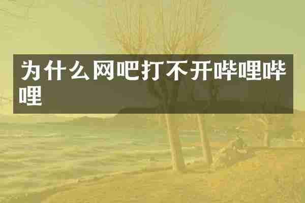 为什么网吧打不开哔哩哔哩