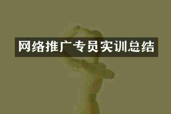 网络推广专员实训总结