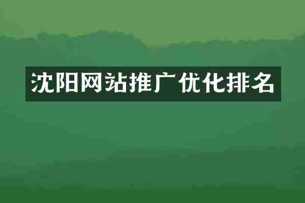 沈阳网站推广优化排名