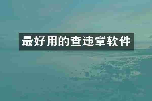 最好用的查违章软件