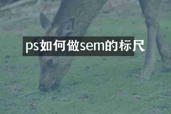 ps如何做sem的标尺