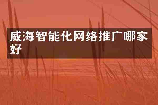 威海智能化网络推广哪家好