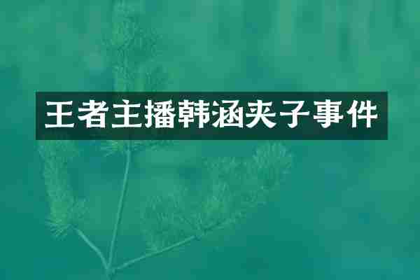 王者主播韩涵夹子事件