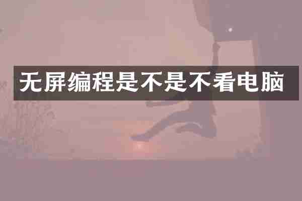 无屏编程是不是不看电脑