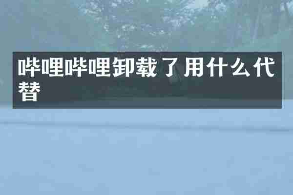哔哩哔哩卸载了用什么代替