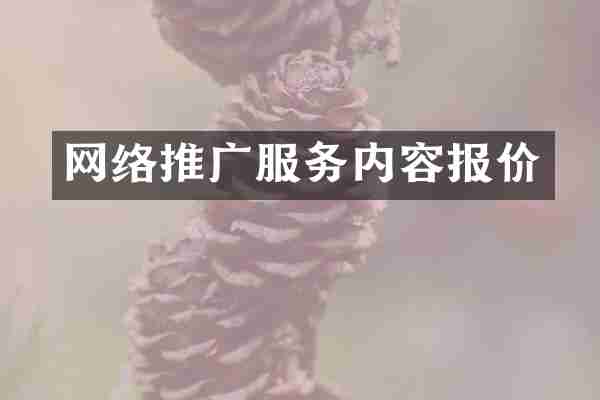 网络推广服务内容报价
