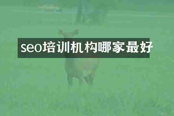 seo培训机构哪家最好