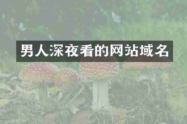 男人深夜看的网站域名