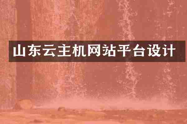 山东云主机网站平台设计