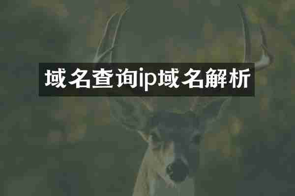 域名查询ip域名解析