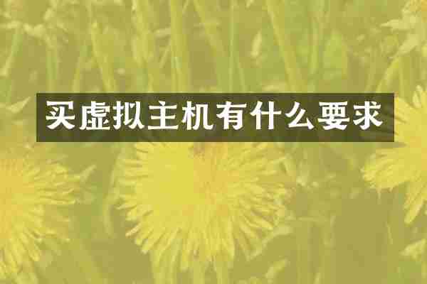 买虚拟主机有什么要求