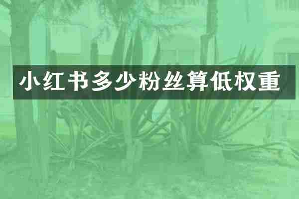 小红书多少粉丝算低权重