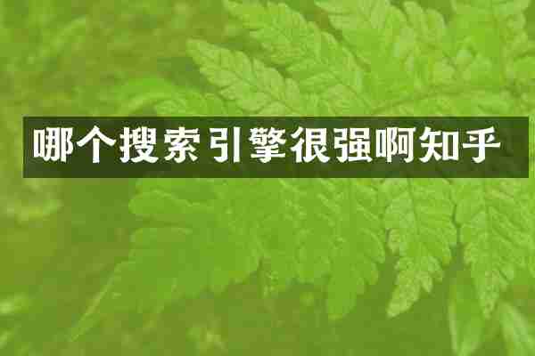 哪个搜索引擎很强啊知乎