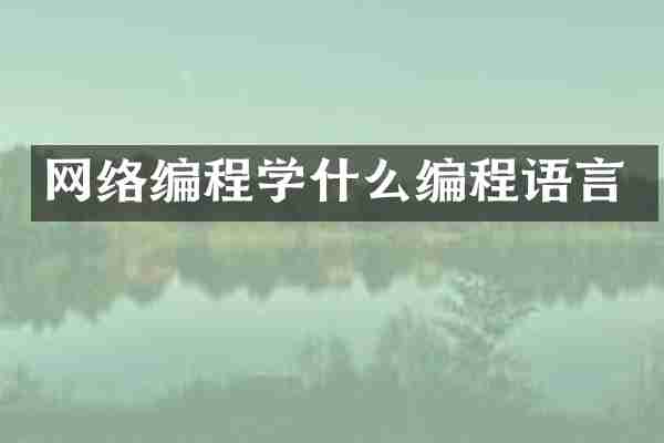 网络编程学什么编程语言
