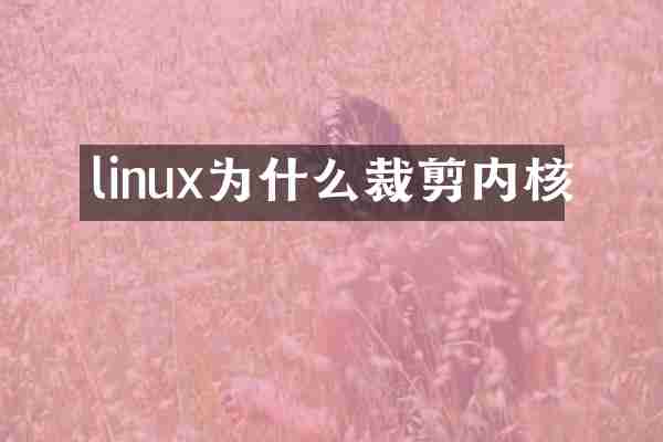 linux为什么裁剪内核