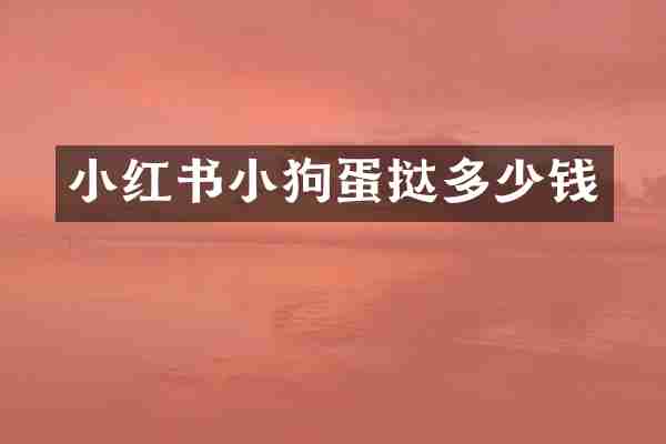 小红书小狗蛋挞多少钱