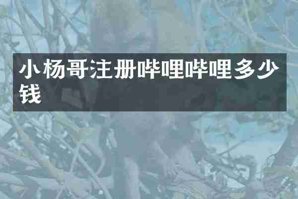 小杨哥注册哔哩哔哩多少钱