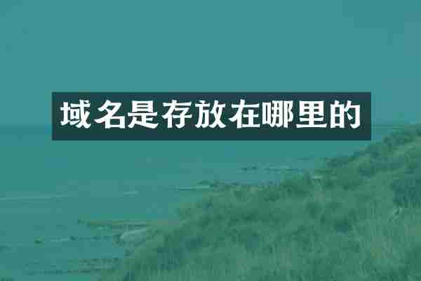 域名是存放在哪里的