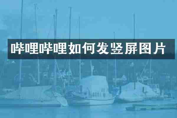 哔哩哔哩如何发竖屏图片