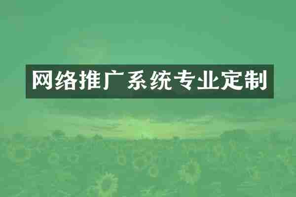 网络推广系统专业定制