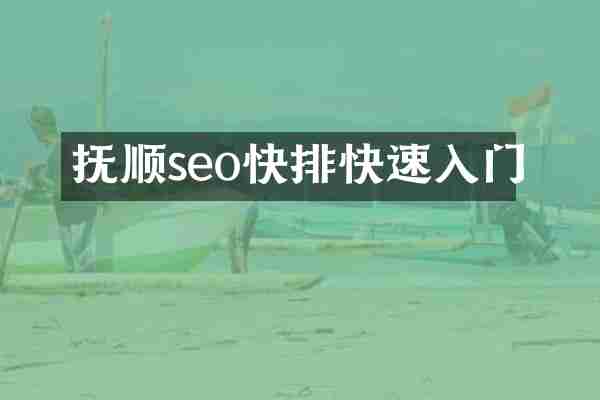 抚顺seo快排快速入门