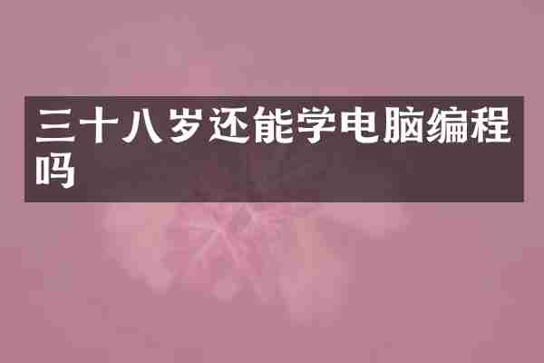 三十八岁还能学电脑编程吗