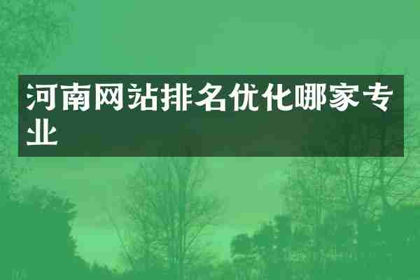 河南网站排名优化哪家专业