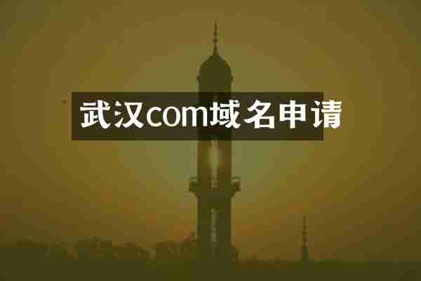 武汉com域名申请