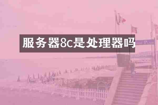 服务器8c是处理器吗