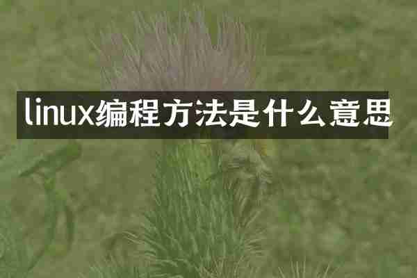 linux编程方法是什么意思