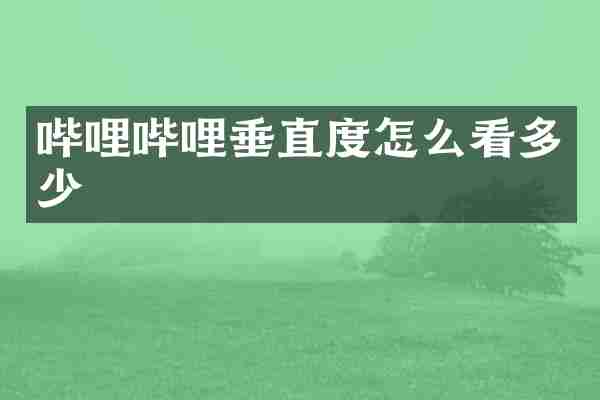 哔哩哔哩垂直度怎么看多少