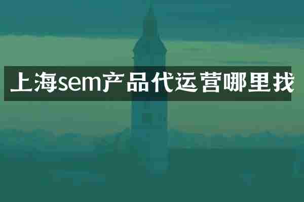 上海sem产品代运营哪里找