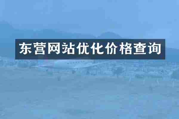 东营网站优化价格查询