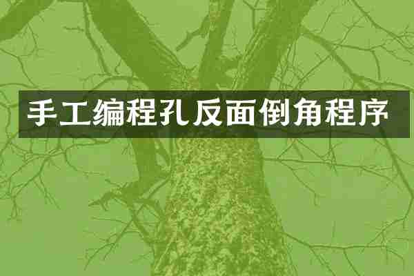 手工编程孔反面倒角程序