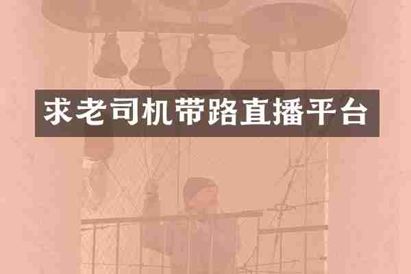 求老司机带路直播平台