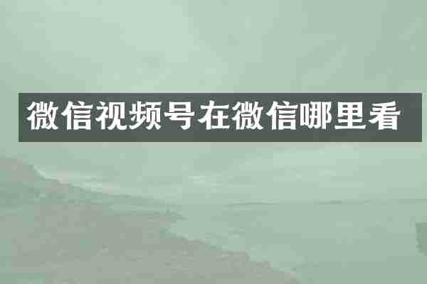 微信视频号在微信哪里看