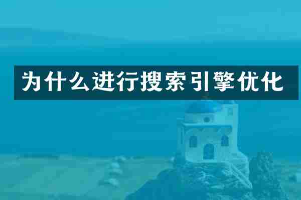 为什么进行搜索引擎优化