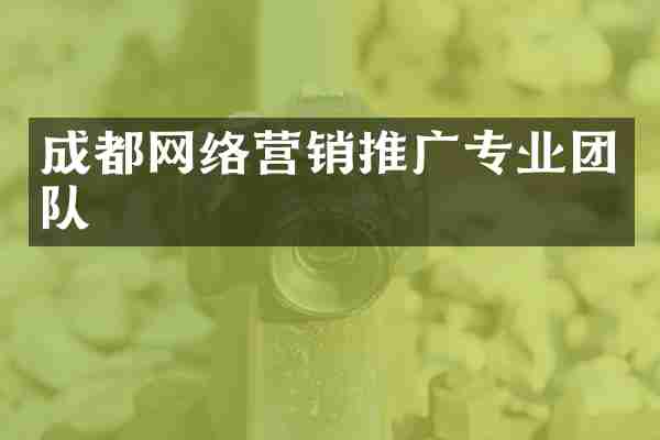 成都网络营销推广专业团队
