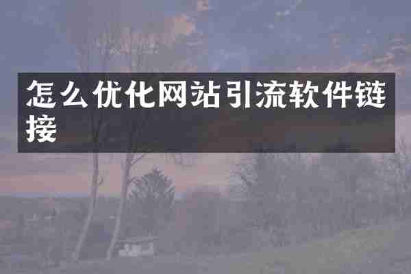 怎么优化网站引流软件链接