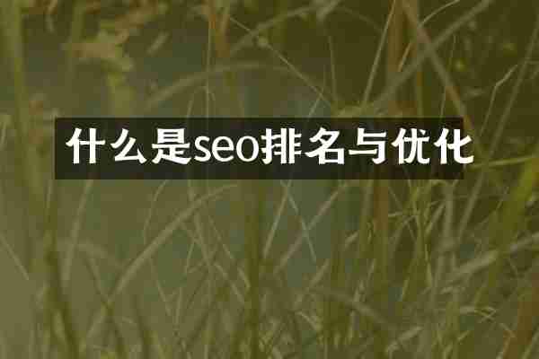 什么是seo排名与优化