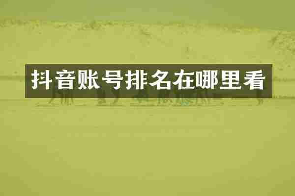 抖音账号排名在哪里看
