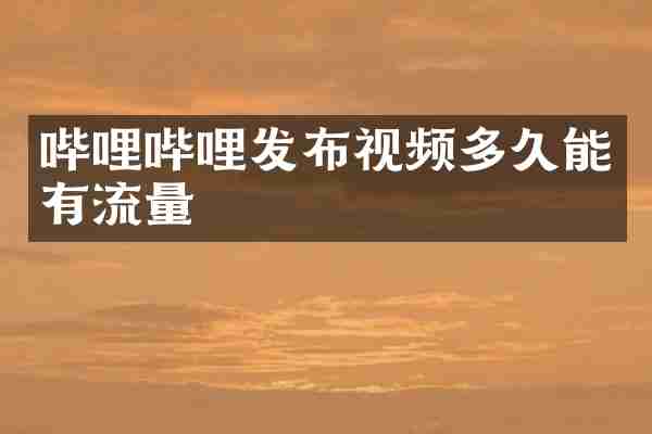 哔哩哔哩发布视频多久能有流量