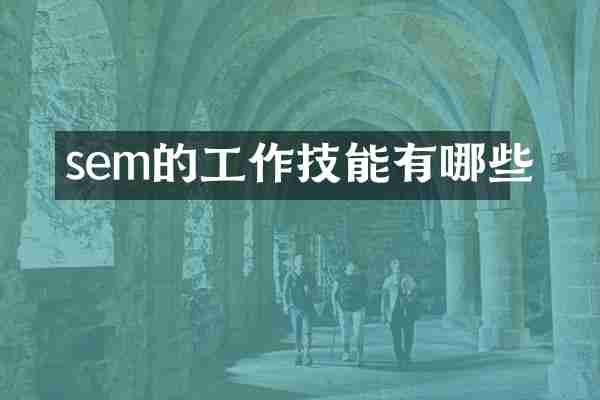sem的工作技能有哪些