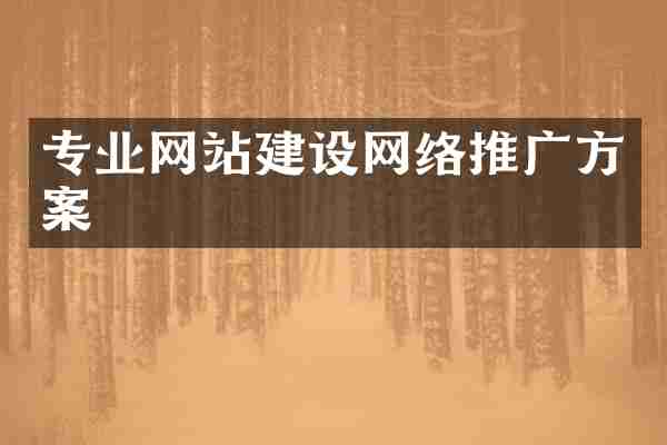 专业网站建设网络推广方案