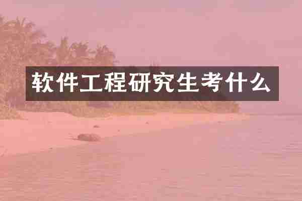 软件工程研究生考什么